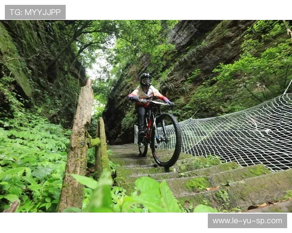 山地速降自行车核心技术要点解析 山地速降自行车核心技术要点解析